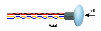 An axial Hall sensor